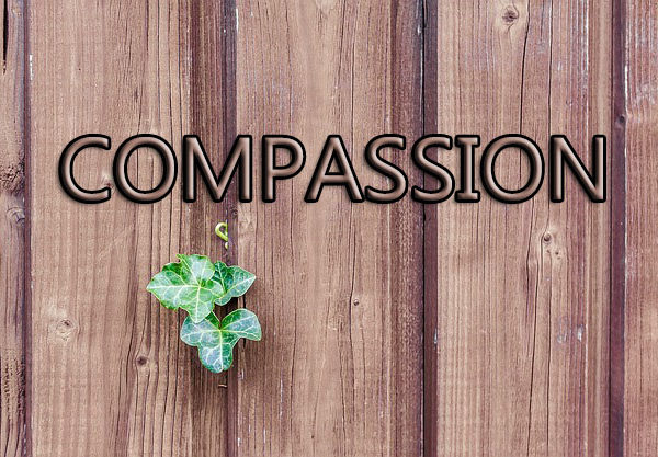 compassion quote