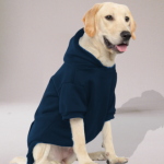 dog hoodie navy color