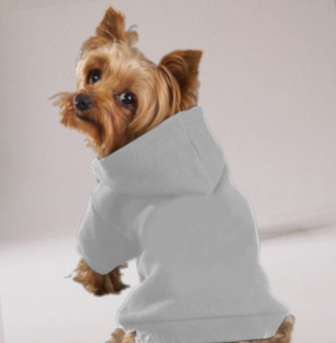 small dog hoodie white color